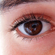 All Eyes on the SERPs