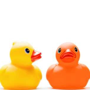 Transforming Customer Loyalty with Advocacy