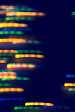 Certona Debuts Personalized On-Site Search