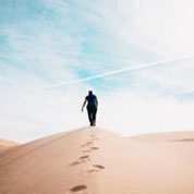 A Reality Check for the Search Marketing Landscape
